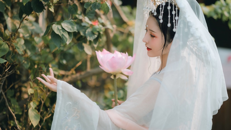 崩坏星穹铁道崇高道德的赞许怎么获得 崇高道德的赞许获得方法